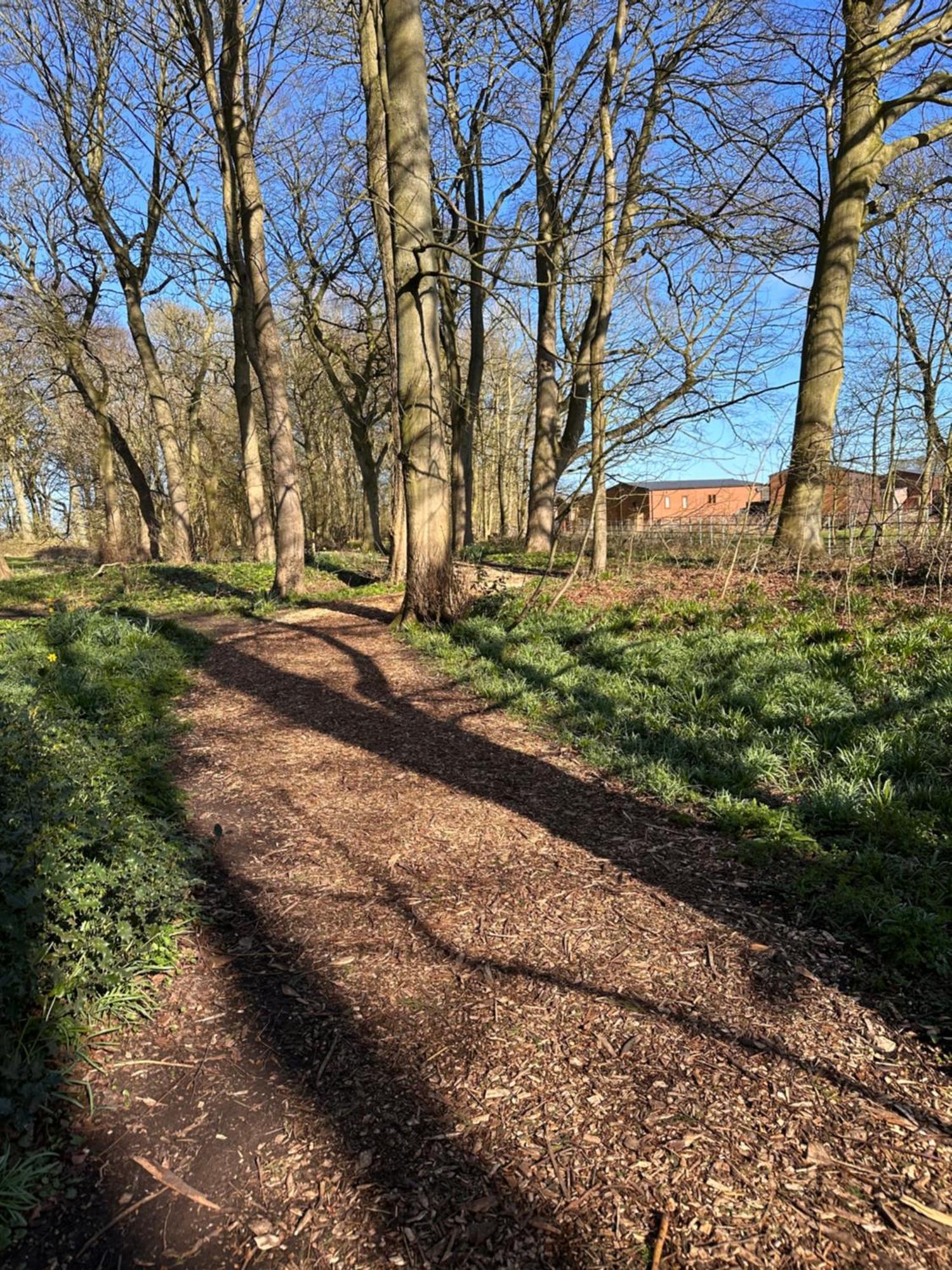 Max'S Woodland Lodge Bridlington Esterno foto