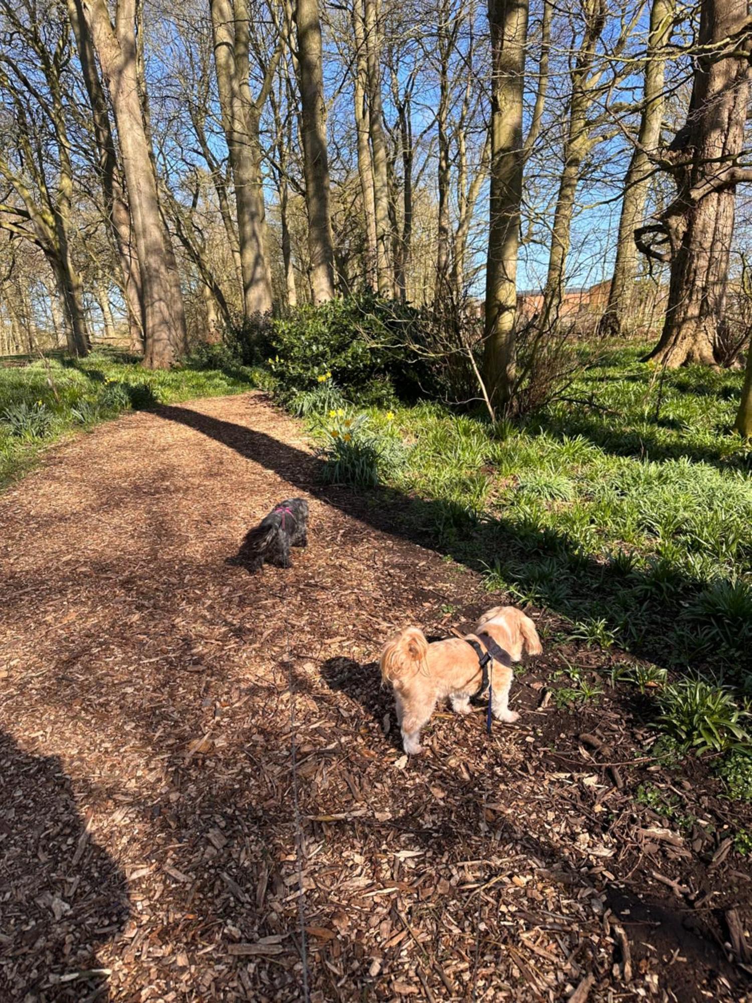 Max'S Woodland Lodge Bridlington Esterno foto
