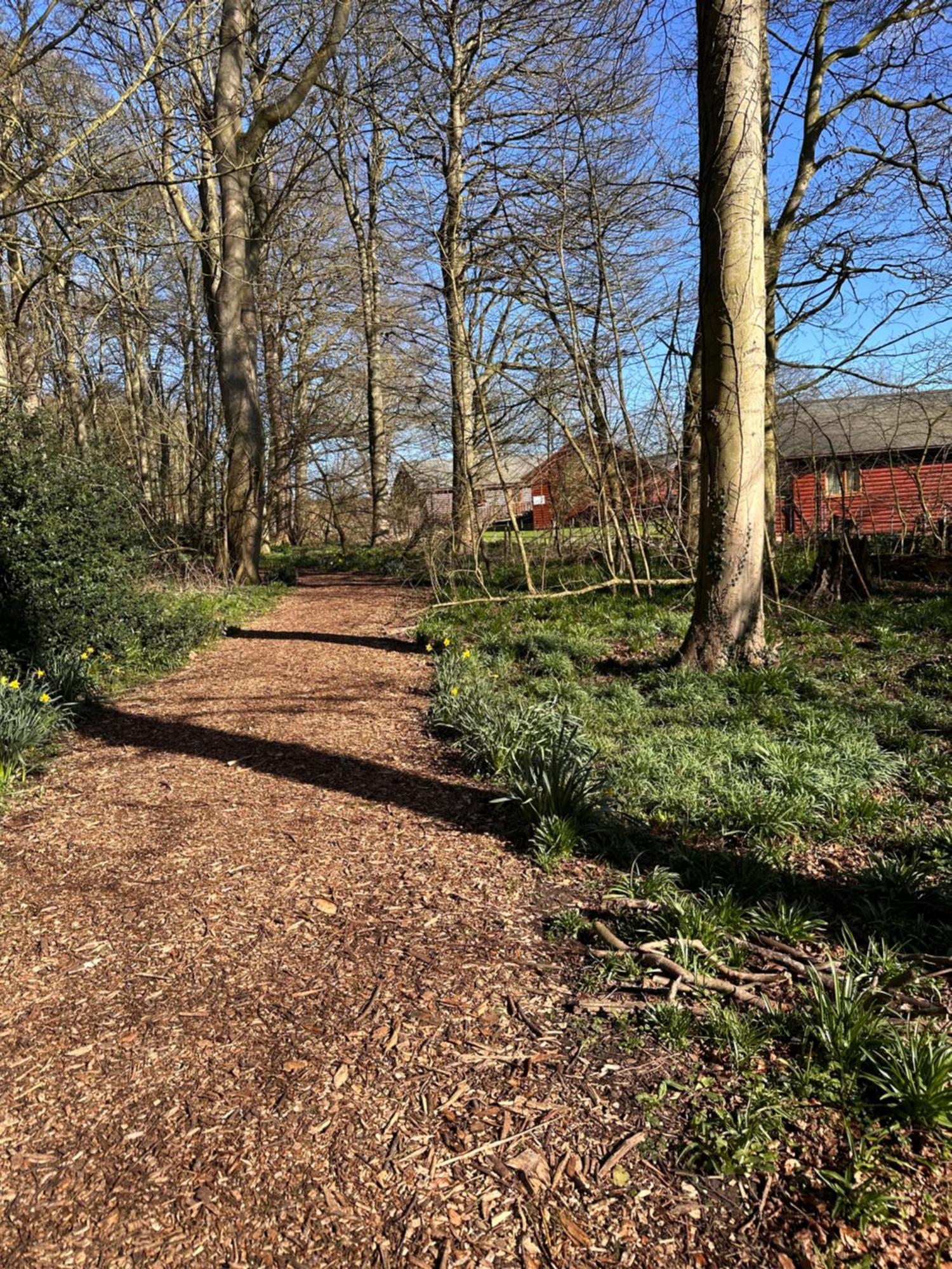 Max'S Woodland Lodge Bridlington Esterno foto