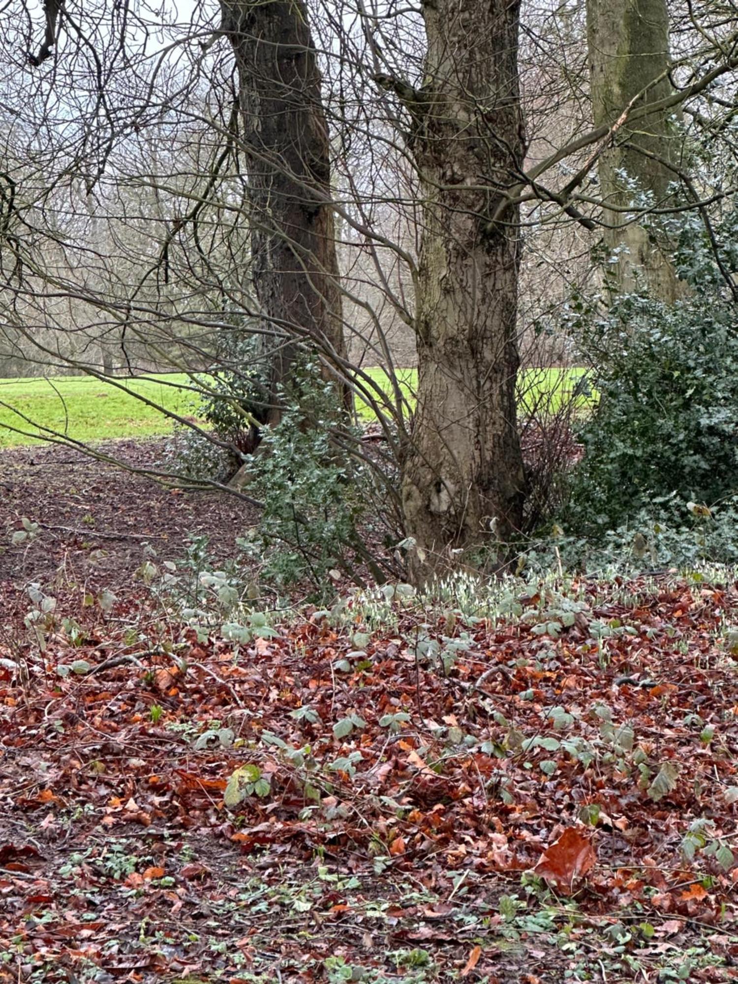 Max'S Woodland Lodge Bridlington Esterno foto